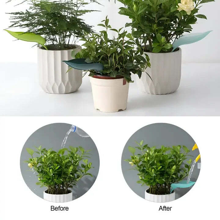 Mess-Free Watering Tool